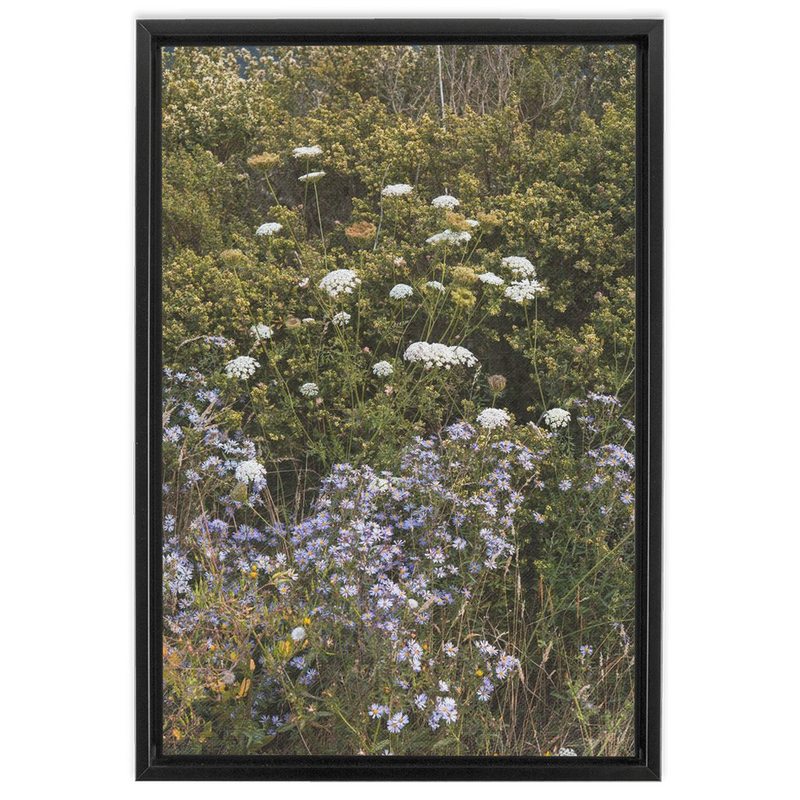 Wildflowers Framed Canvas