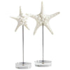 Asterina Sculpture in Various Sizes by Cyan Design