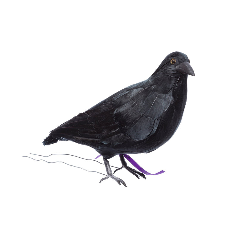 Crow- Large