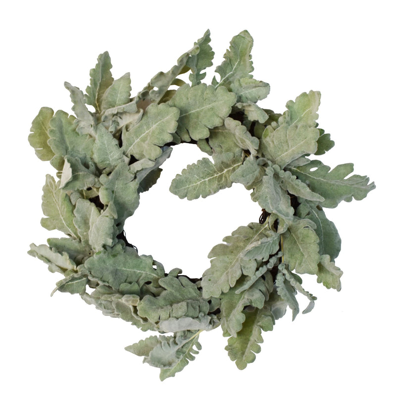 Dusty Miller Wreath in Green 14"