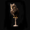 Owl Brown - Large