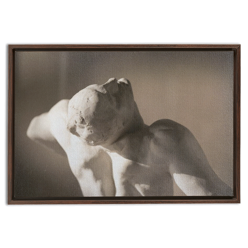 Rodin Framed Canvas