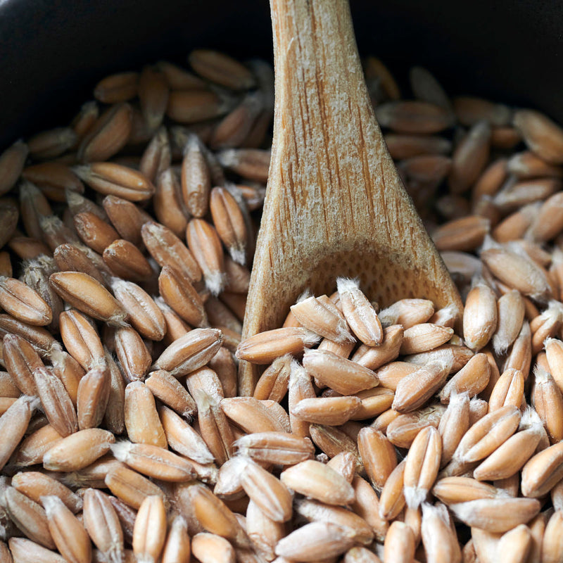 Organic Pearled Farro