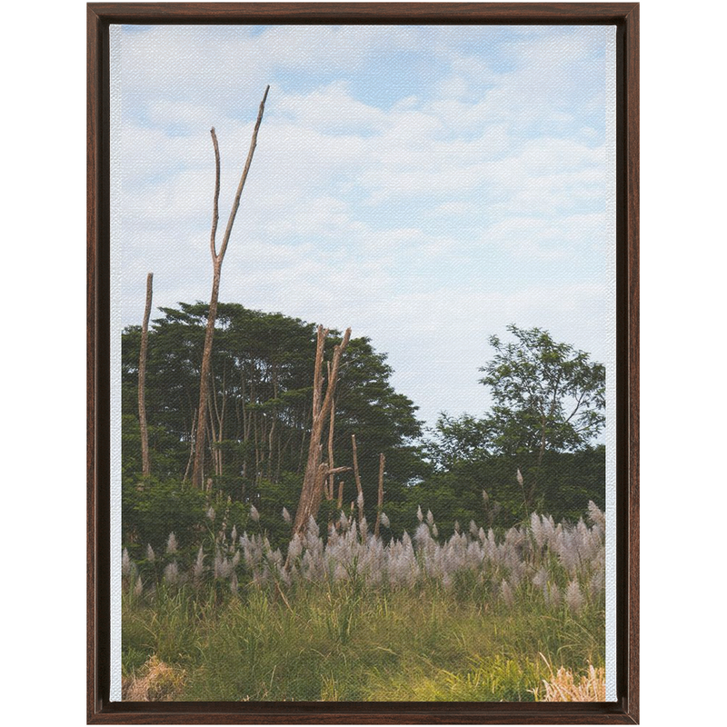 Meadow Framed Canvas