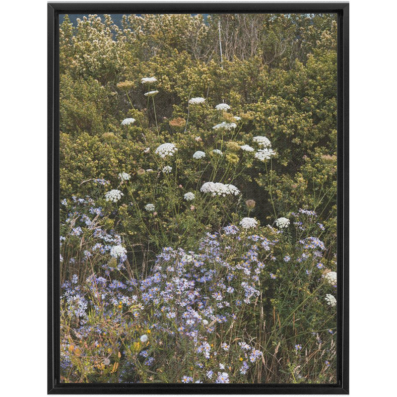 Wildflowers Framed Canvas