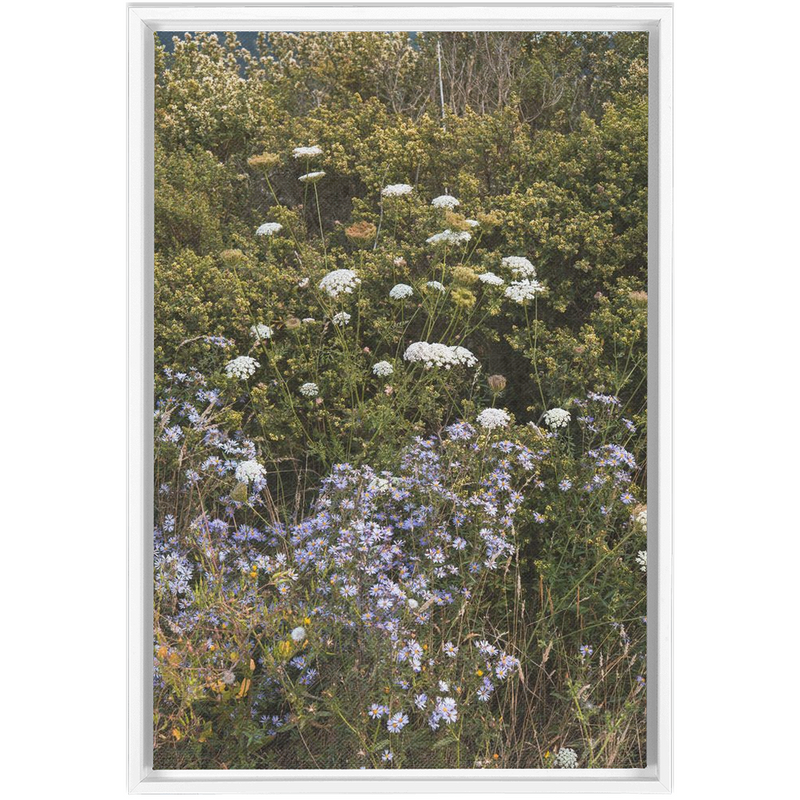 Wildflowers Framed Canvas