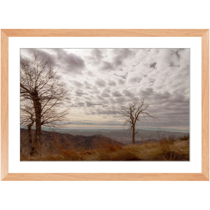 Traveling Framed Print