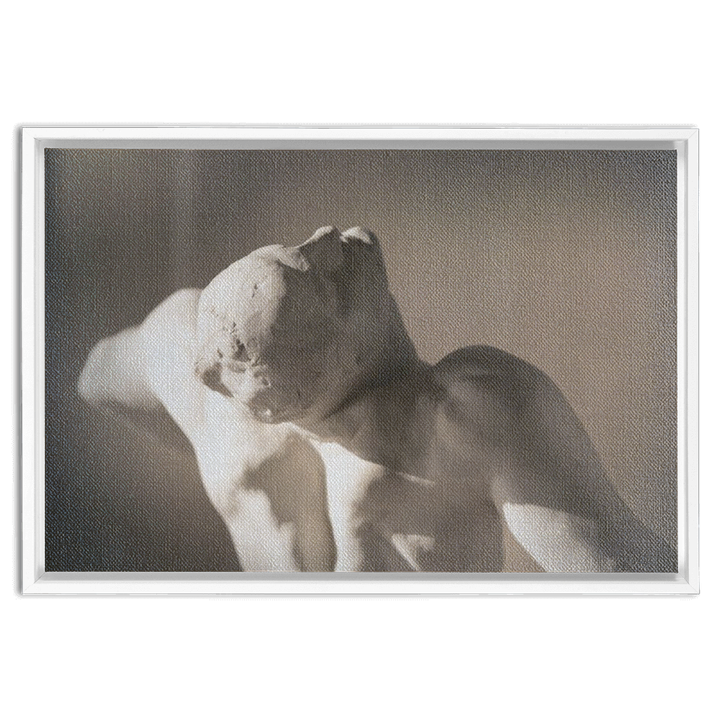 Rodin Framed Canvas