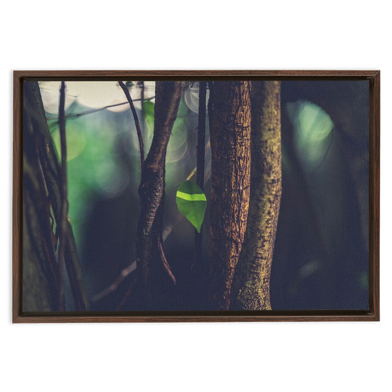 Leaf Framed Canvas