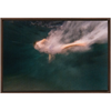 Night Dive Framed Canvas