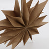 Capella Star Ornament, Natural in Various Sizes