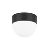 Adams 2 Light Small Flush Mount