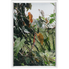 Jungle Framed Canvas