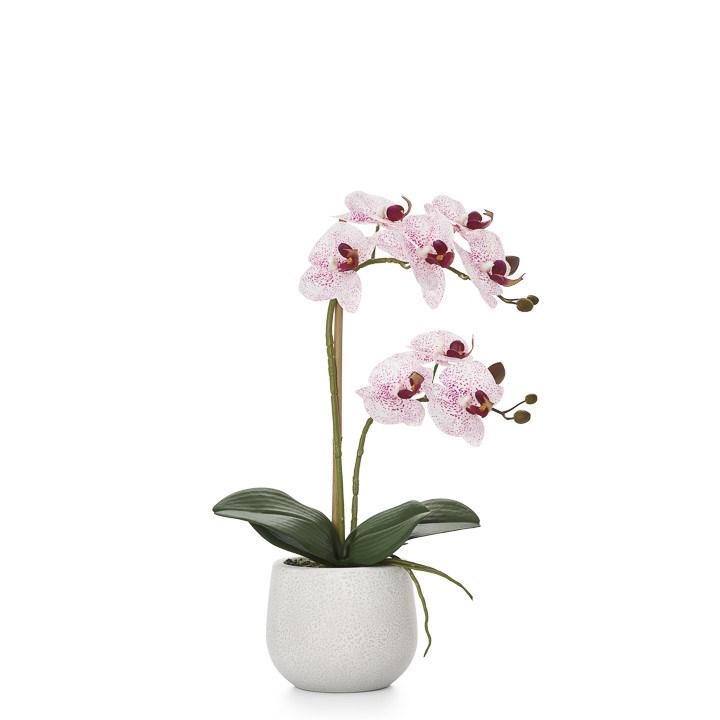 Phalaenopsis Potted 18" Faux Double Stem Orchid - Pink