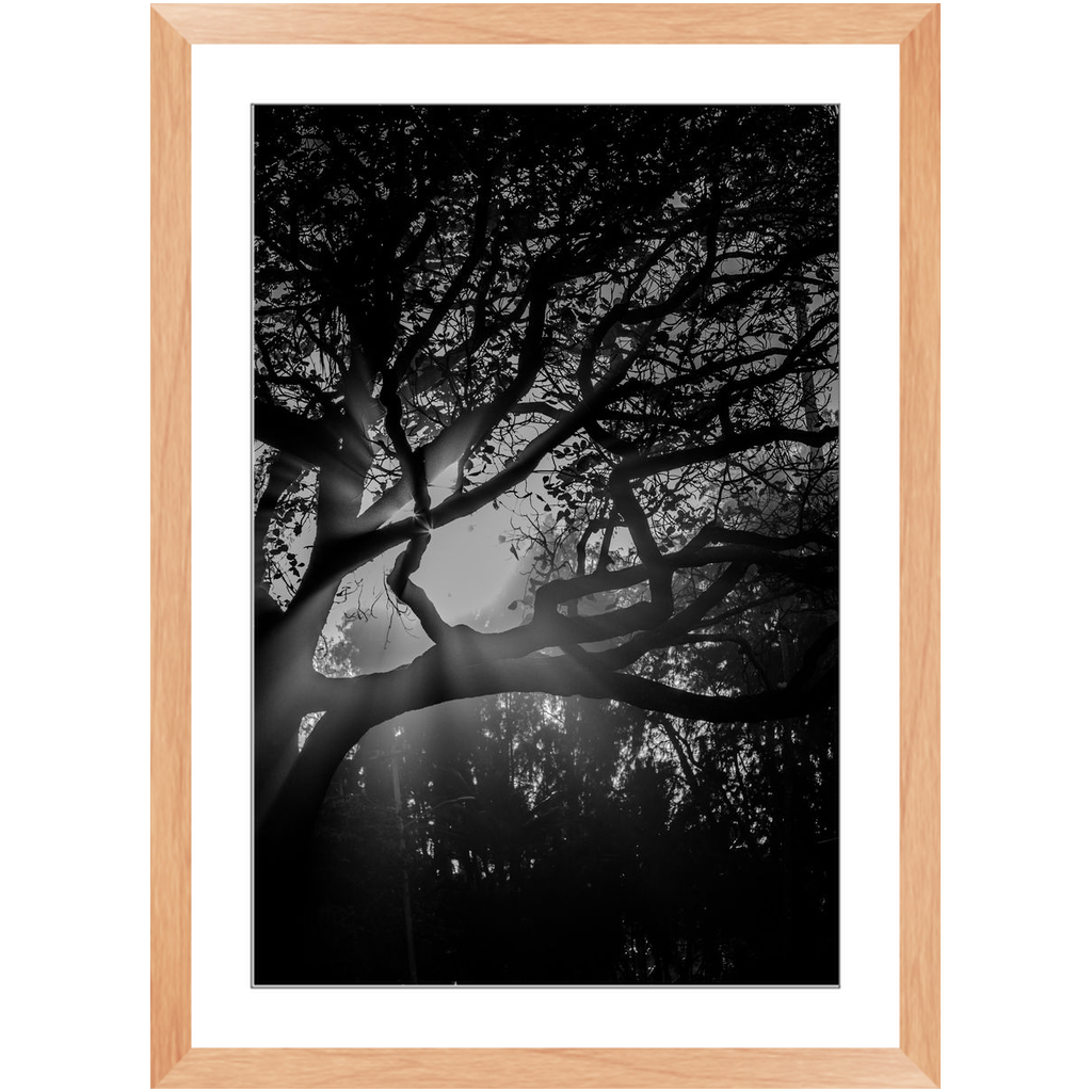 Island Light Framed Print