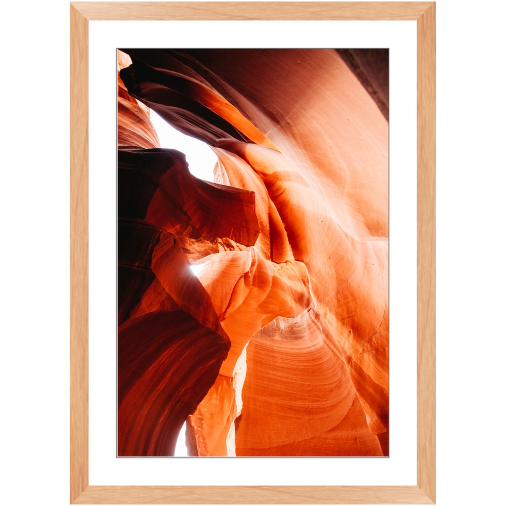 Antelope 2 Framed Print