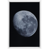 Bue Moon Framed Canvas