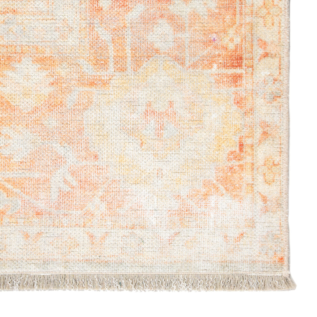 Patrin Oriental Orange & Light Gray Area Rug