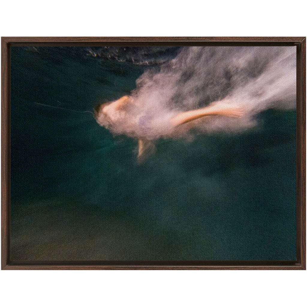 Night Dive Framed Canvas