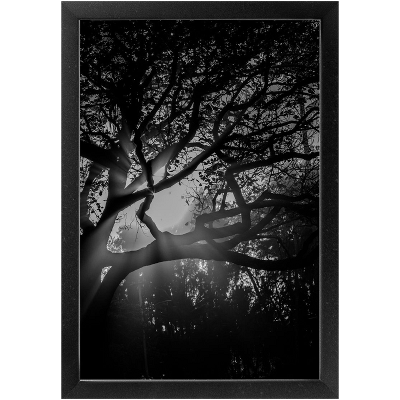 Island Light Framed Print