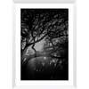 Island Light Framed Print