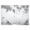 Arctic Throw Pillow