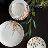 Vera Jardin Dinnerware Collection by Vera Wang