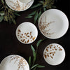 Vera Jardin Dinnerware Collection by Vera Wang