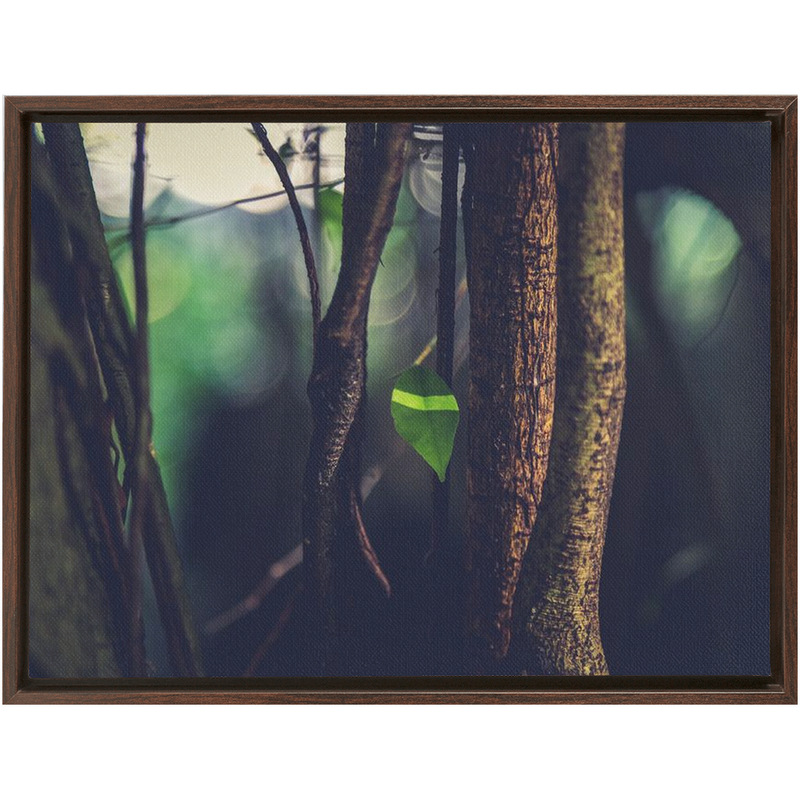 Leaf Framed Canvas