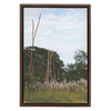 Meadow Framed Canvas