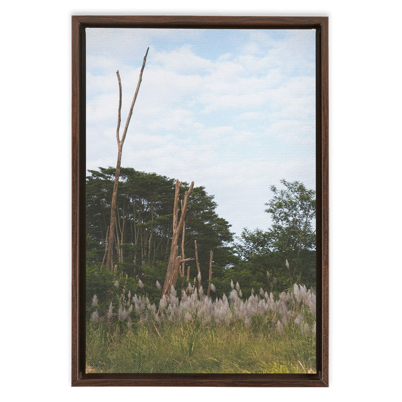 Meadow Framed Canvas