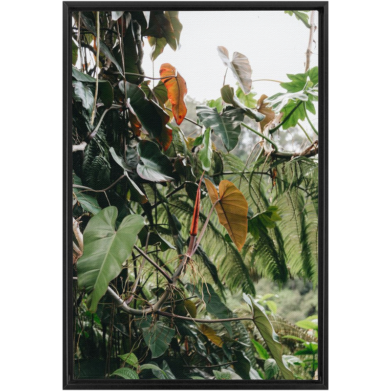 Jungle Framed Canvas