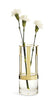 Hold Glass Vase Collection