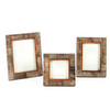 Chiseled Horn Photo Frame by Twos Company