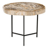 Riley Petrified Wood Accent Table Medium