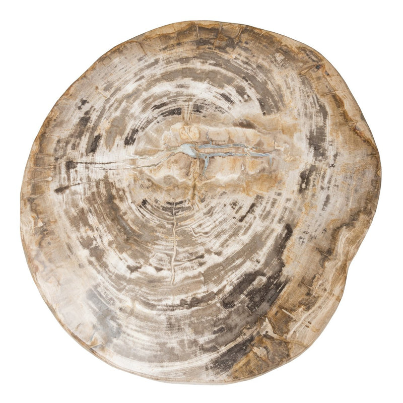 Riley Petrified Wood Accent Table Medium