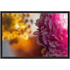 Floral Dream Framed Stretched Canvas