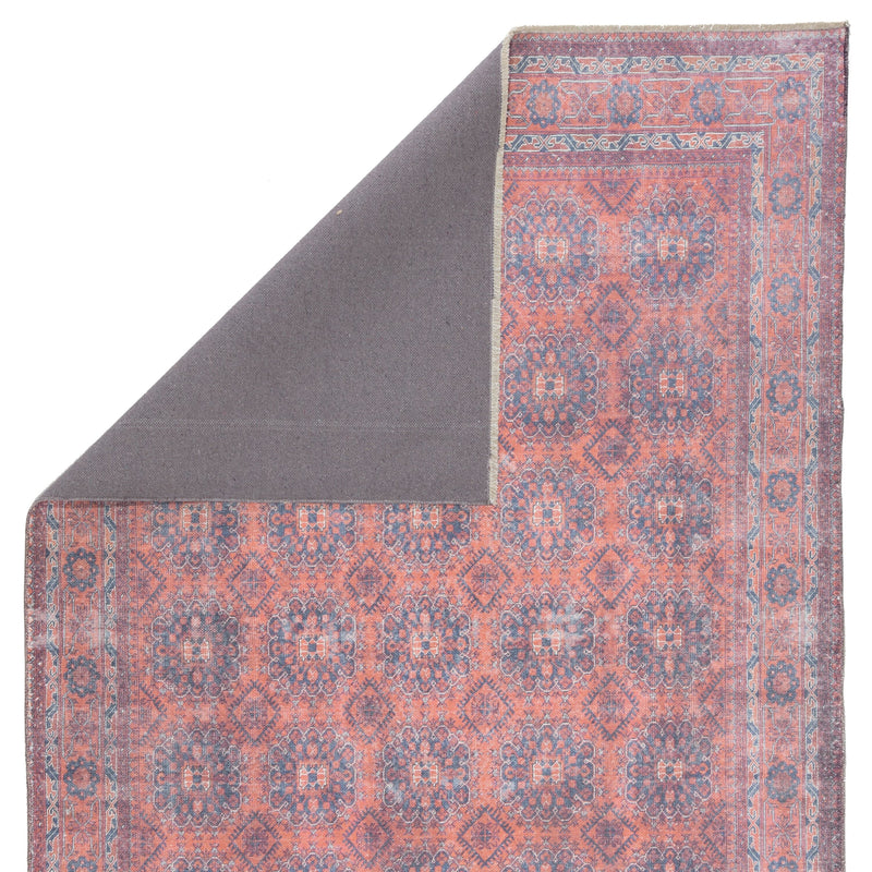 Shelta Oriental Blue & Red Area Rug