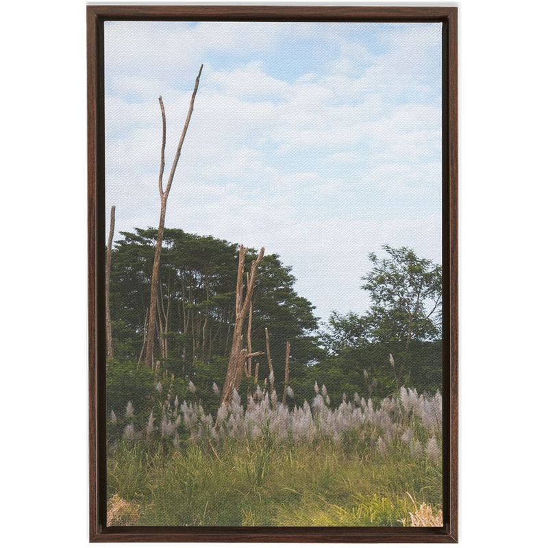 Meadow Framed Canvas