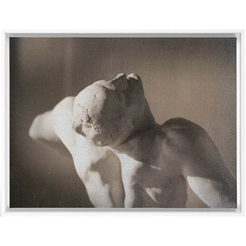 Rodin Framed Canvas