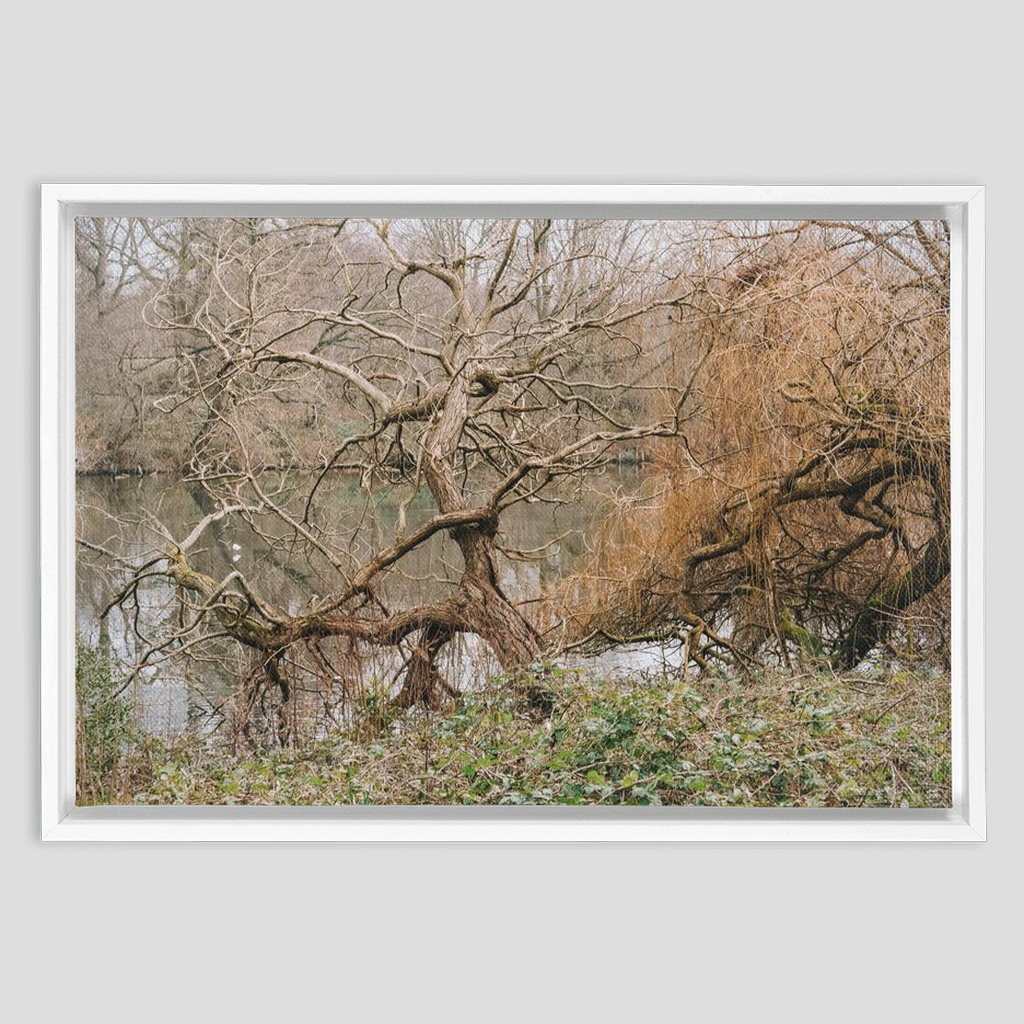 Kensington Gardens Framed Canvas