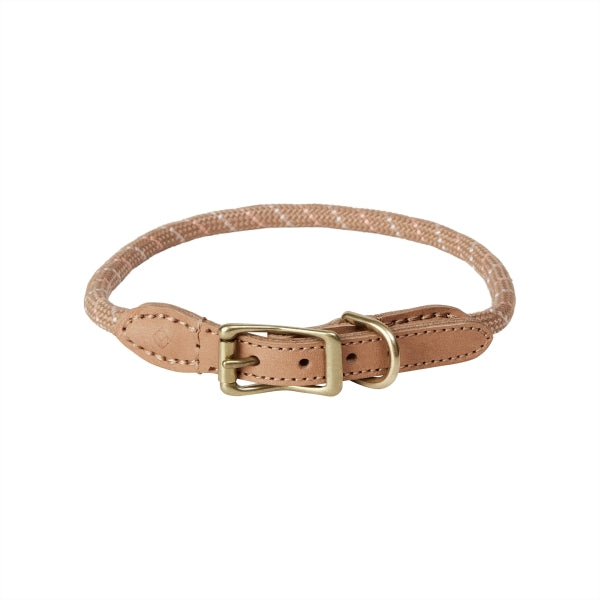 perry dog collar caramel 1