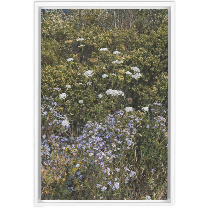 Wildflowers Framed Canvas