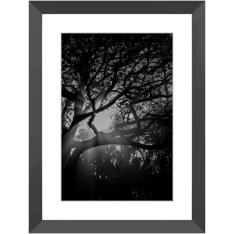 Island Light Framed Print