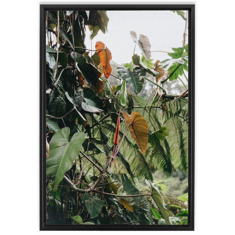 Jungle Framed Canvas