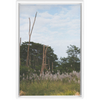 Meadow Framed Canvas