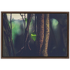 Leaf Framed Canvas