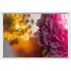 Floral Dream Framed Stretched Canvas