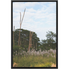 Meadow Framed Canvas