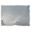 Glacier Throw Pillow